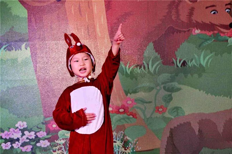 仕女班头打一准确生肖、最新作答落实解释