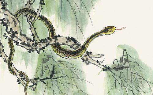 鸟尽弓藏打一准确的动物蛇吗:马上为你揭晓落实