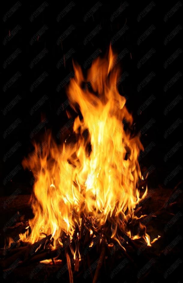 钻冰求火，生肖背后的智慧与谜团