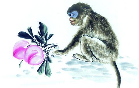 节外生枝打一生肖，揭秘与解析