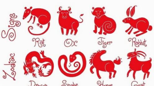 活灵活现是什么生肖、各种各样解释落实 活灵活现是什么生肖、各种各样解释落实