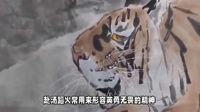 赴汤蹈火是什么生肖:第一解答落实 赴汤蹈火是什么生肖:第一解答落实