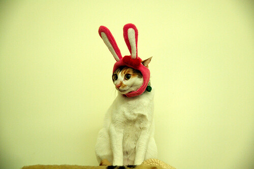 人小鬼大是什么生肖、惠泽作答落实解释 人小鬼大是什么生肖、惠泽作答落实解释