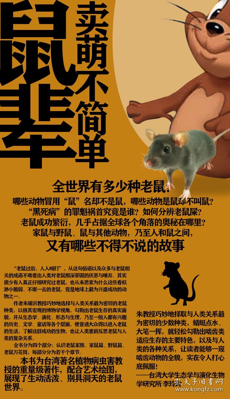 乱人耳目,生肖中的智者—鼠的非凡作答与落实解释 乱人耳目,生肖中的智者—鼠的非凡作答与落实解释