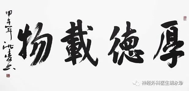 厚德载物，生肖之谜的全面揭晓与解释落实