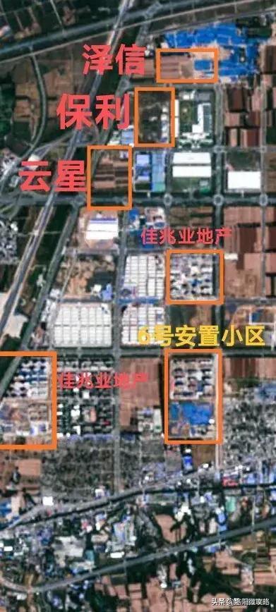 山穷水尽疑无路，生肖背后的智慧与友爱解读