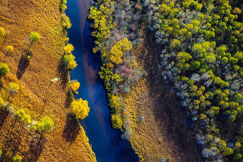 平分秋色,揭秘正确生肖与最新作答落实解释 平分秋色,揭秘正确生肖与最新作答落实解释