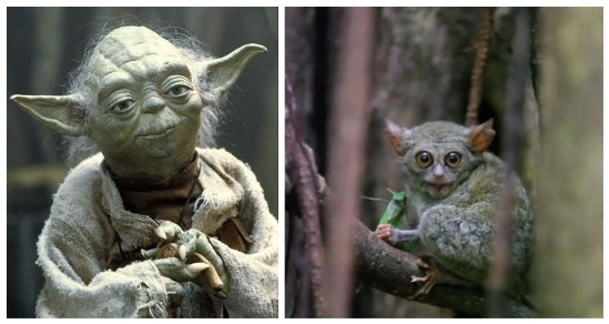 达者为师是什么生肖:词语解析解答落实 达者为师是什么生肖:词语解析解答落实