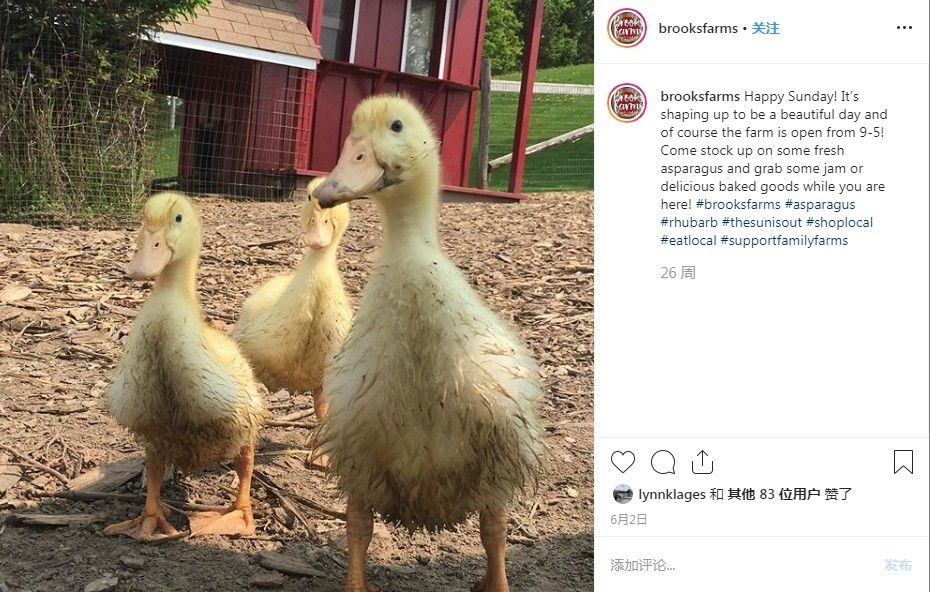 付之一炬打一生肖、查询解释落实 付之一炬打一生肖、查询解释落实