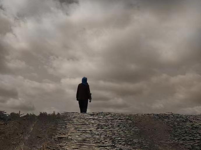 乡土难离，生肖背后的文化寓意与解读