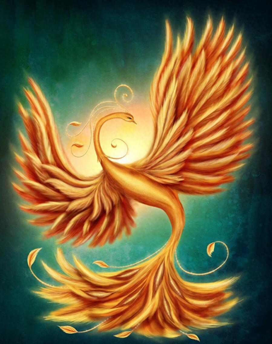 百尺竿头,精准揭秘—生肖之谜的答案与落实 百尺竿头,精准揭秘—生肖之谜的答案与落实