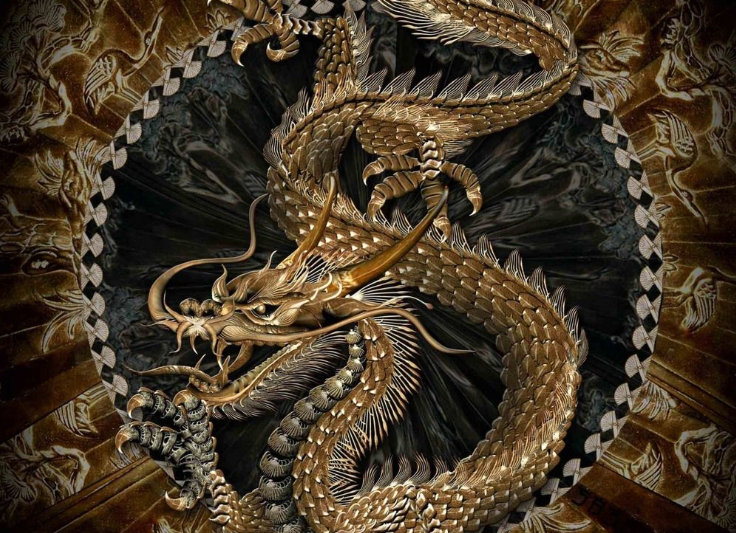 目光如豆与生肖之谜，揭秘鼠的智慧与惠泽