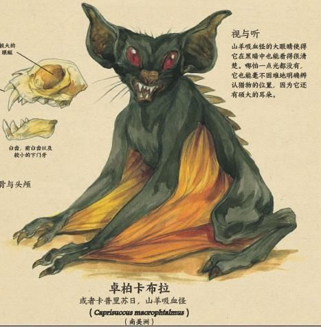 解密称孤道寡背后的动物谜题,如何有效落实解释的智慧 解密称孤道寡背后的动物谜题,如何有效落实解释的智慧