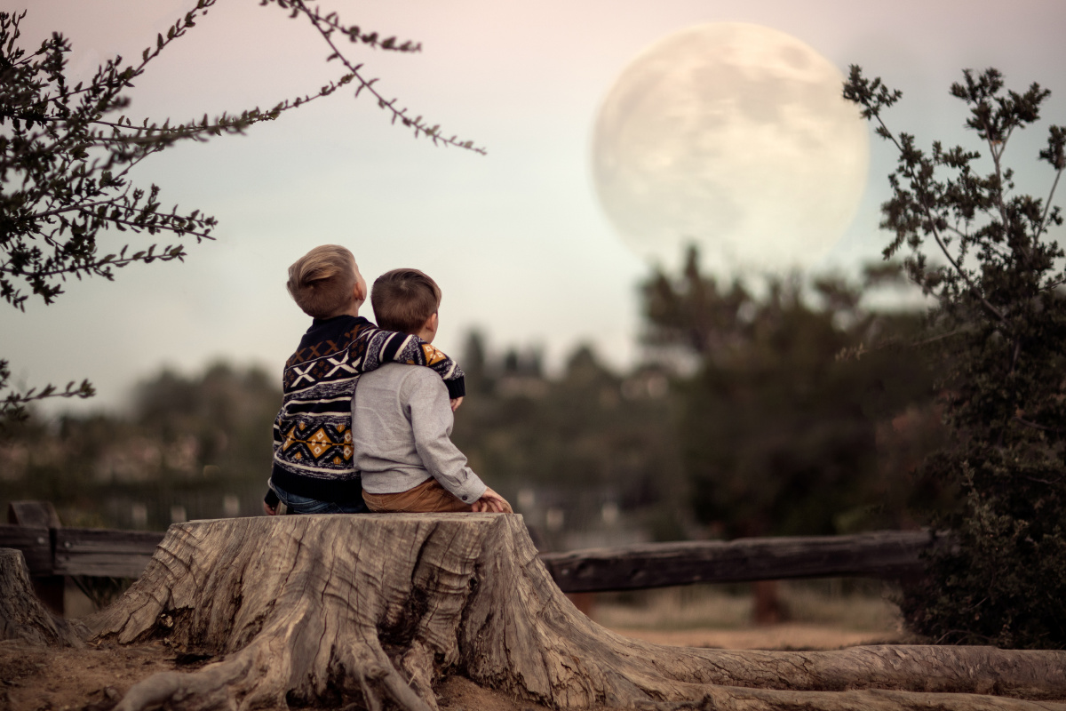 遥知兄弟登高处，生肖之谜的温馨解读