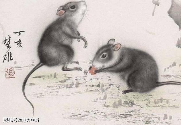 勤俭持家，生肖中的智慧之鼠