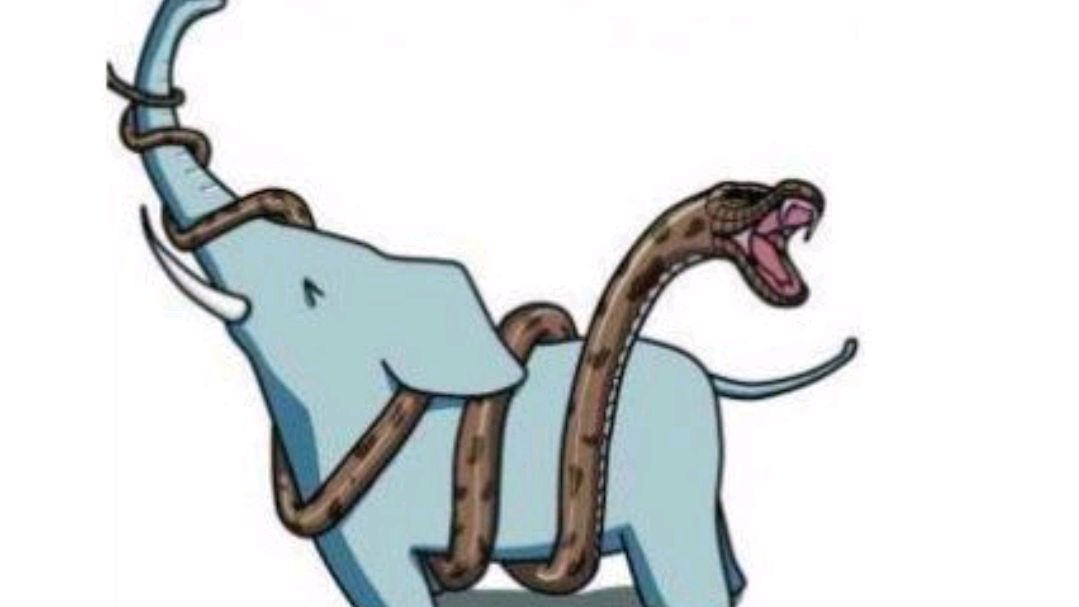 人生不足蛇吞象、前沿作答落实解释 人生不足蛇吞象、前沿作答落实解释