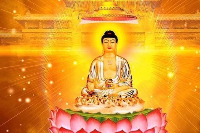 争斤论两是什么生肖:马上为你揭晓落实