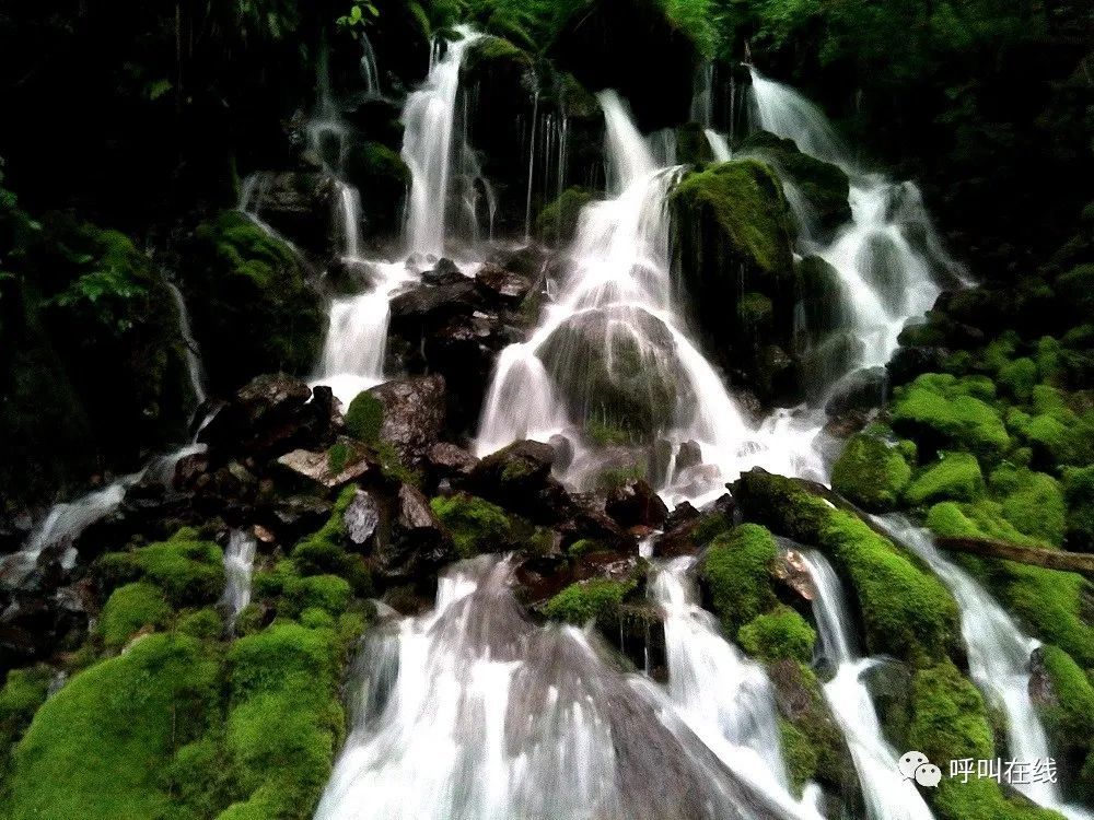 揭秘说长道短背后的生肖谜底 揭秘说长道短背后的生肖谜底