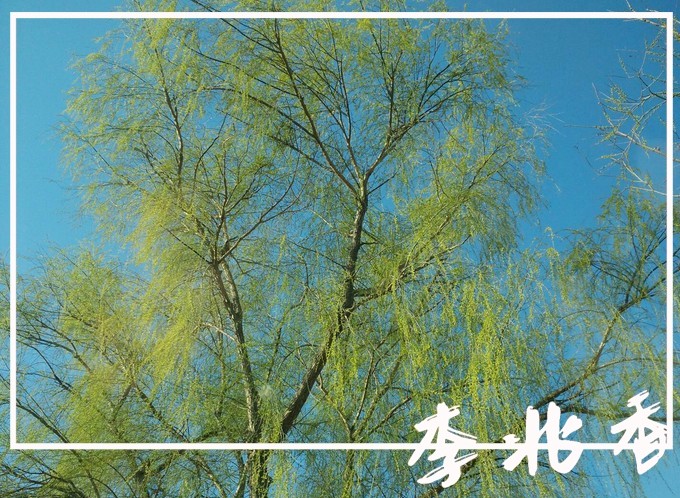 八面春风吹大地,生肖之谜与文化奥秘的深度解析 八面春风吹大地,生肖之谜与文化奥秘的深度解析