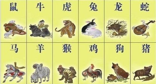 北方生肖有哪几肖、对决解释落实