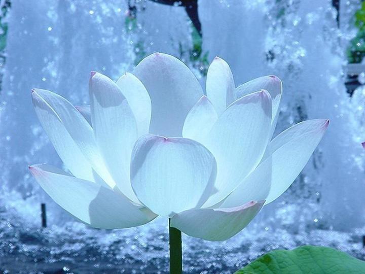 春色破晓猜一生肖:马上为你揭晓落实 春色破晓猜一生肖:马上为你揭晓落实