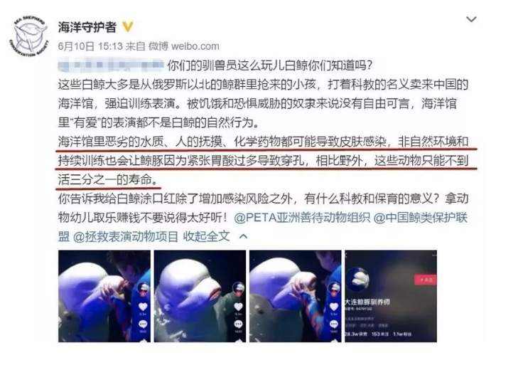 福无十全,揭秘最快解答落实的动物智慧 福无十全,揭秘最快解答落实的动物智慧