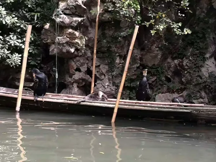 流血漂橹什么意思、详细解释落实 流血漂橹什么意思、详细解释落实