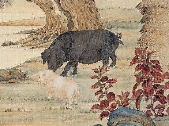 南山之寿是什么生肖、发现作答落实解释 南山之寿是什么生肖、发现作答落实解释