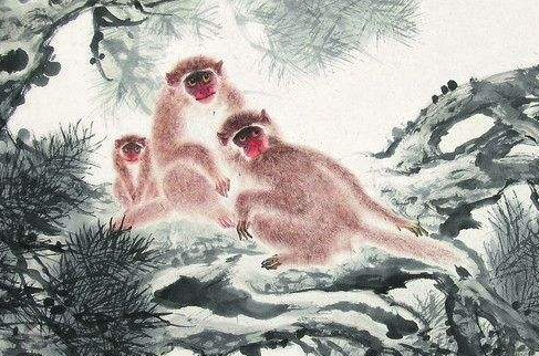 亲密无间是什么生肖、定量作答落实解释 亲密无间是什么生肖、定量作答落实解释