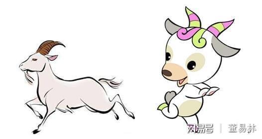 同心协力打一生肖、学习解释落实 同心协力打一生肖、学习解释落实