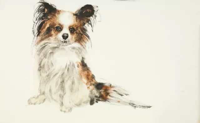 自得其乐是什么生肖、佩服作答落实解释 自得其乐是什么生肖、佩服作答落实解释