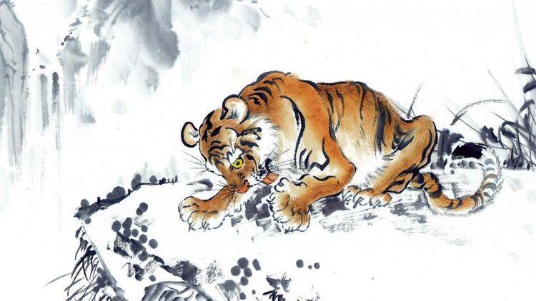 一身正气打一准确生肖、热议作答落实解释