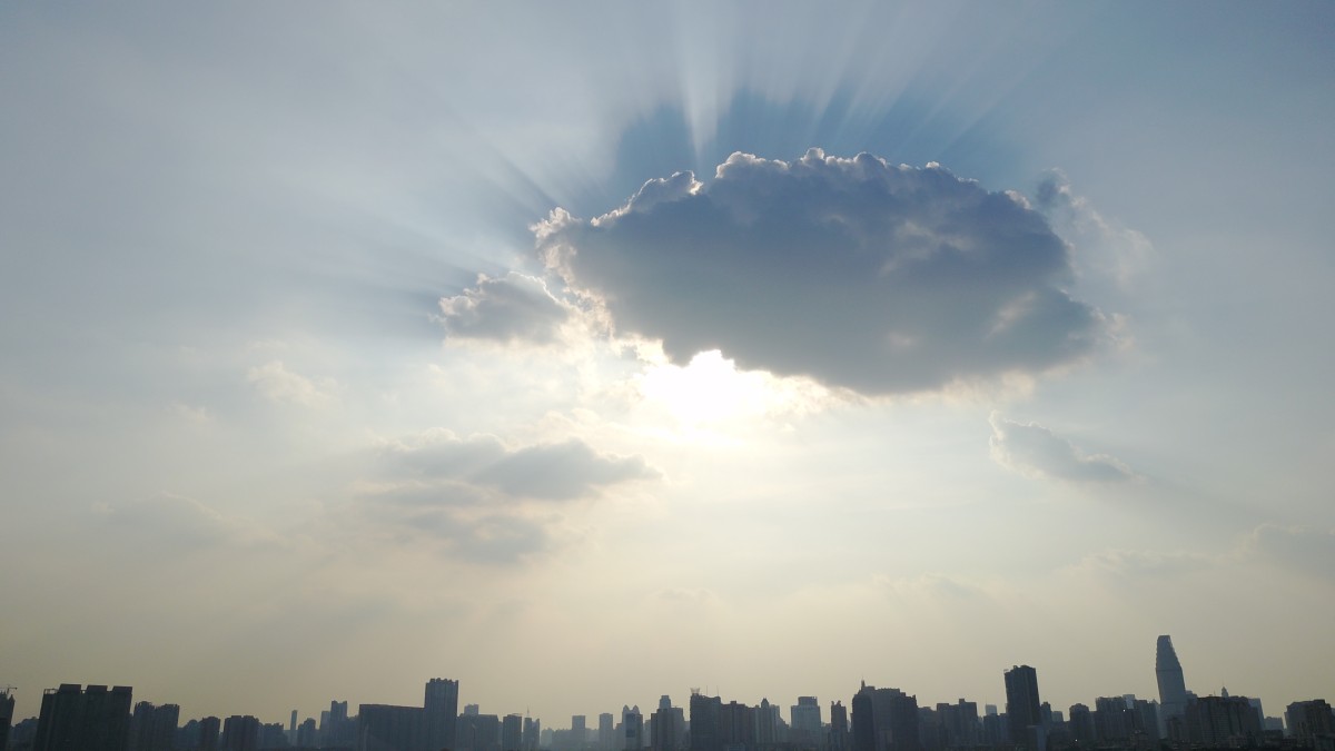 拨云见日是什么生肖、合作作答落实解释