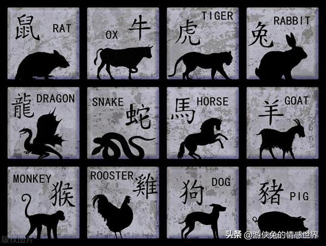 惊心动魄的生肖谜题与成就的落实 惊心动魄的生肖谜题与成就的落实