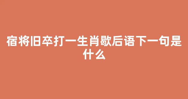 宿将旧卒是什么生肖、非凡解释落实
