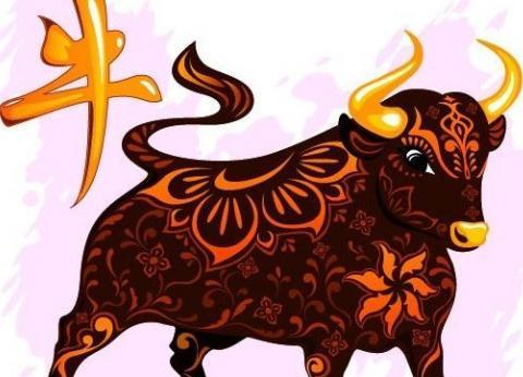 玄机解一肖,揭秘生肖背后的神秘力量 玄机解一肖,揭秘生肖背后的神秘力量