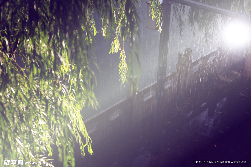 春光夏雨夜，解密生肖之谜