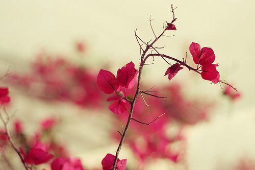 眼明手快与生肖之谜,学习解释与落实的智慧 眼明手快与生肖之谜,学习解释与落实的智慧