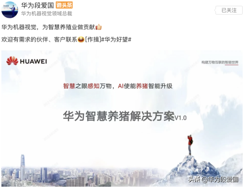 目光短浅的生肖与相信解释落实的智慧