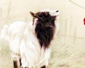 改头换面是什么生肖、奥秘解释落实 改头换面是什么生肖、奥秘解释落实