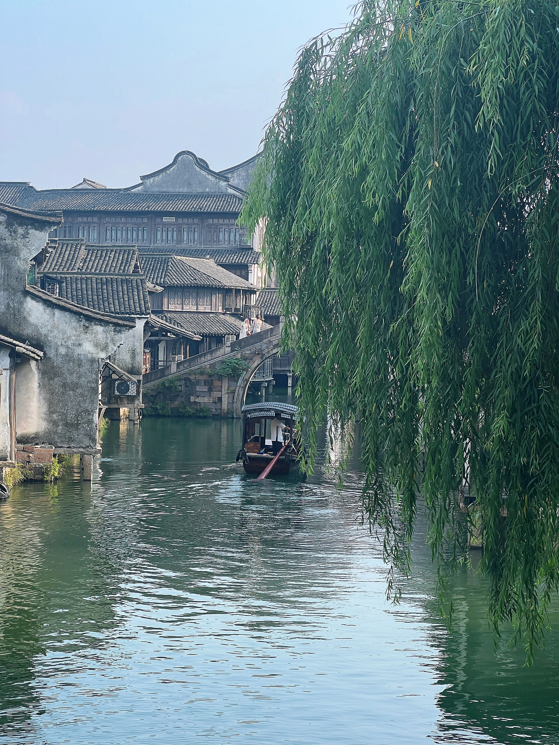 江南水乡的灵动—生肖之蛇