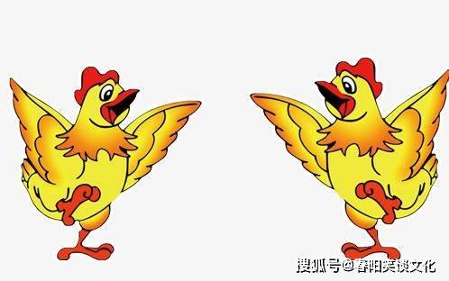 数字与飞跃，一飞冲天背后的生肖密码