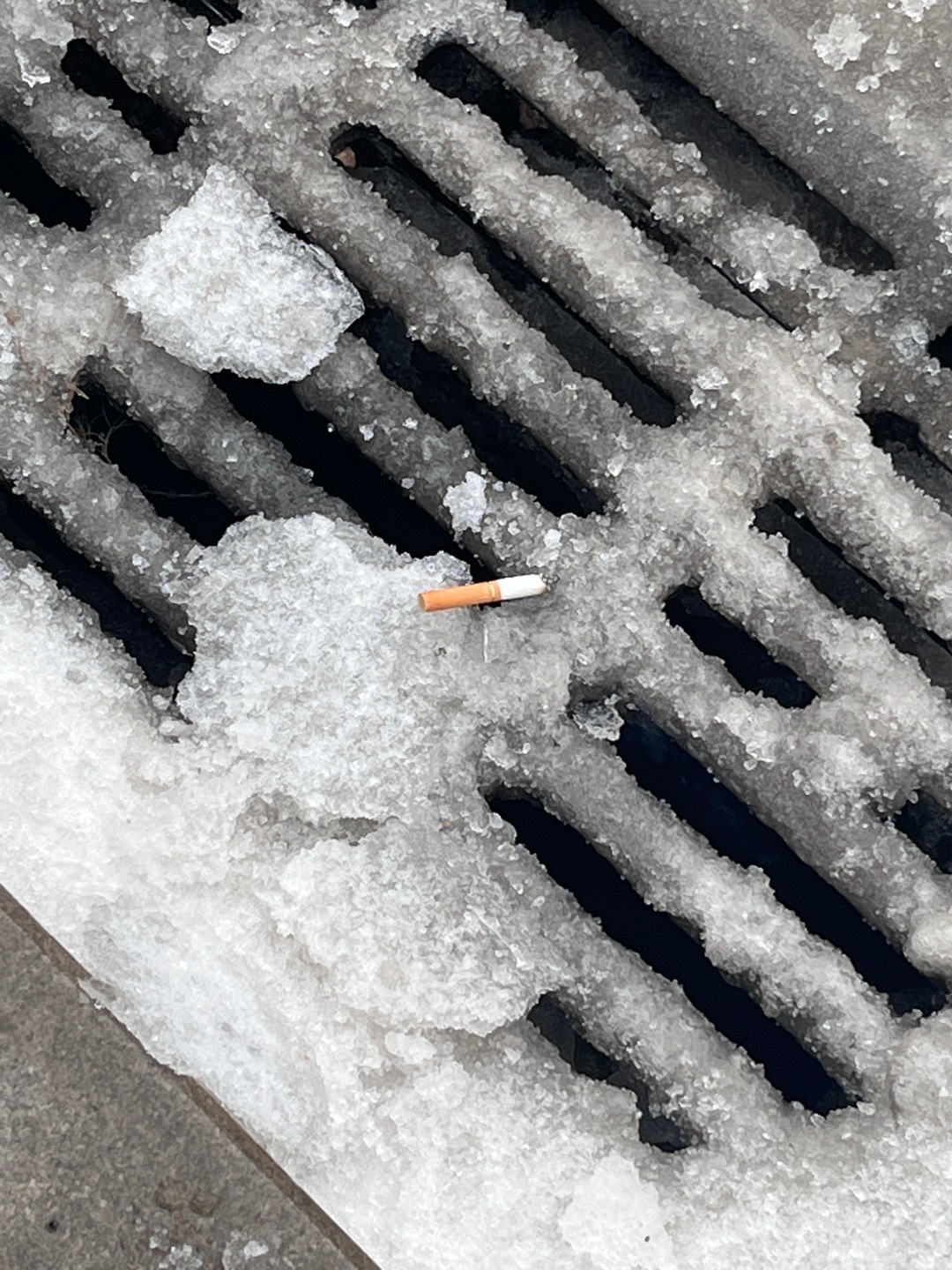 战战兢兢,生肖背后的文化与心理解析 战战兢兢,生肖背后的文化与心理解析