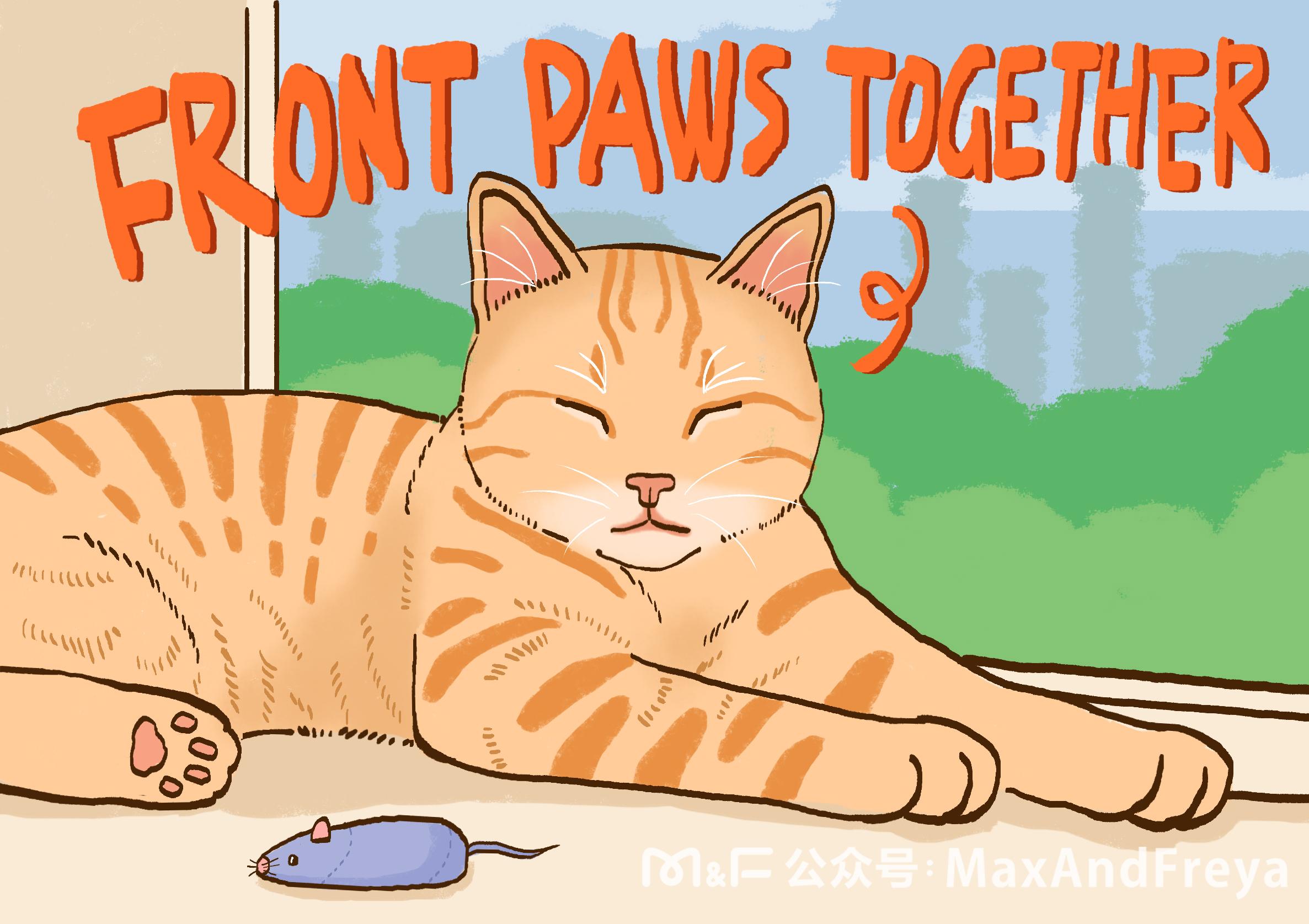 骗口张舌,揭秘最佳动物谜底与嫉妒心理的深层解读 骗口张舌,揭秘最佳动物谜底与嫉妒心理的深层解读