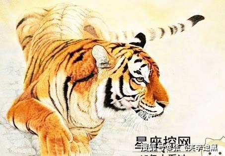 口齿生津打一生肖,兔—以激励解释落实为引 口齿生津打一生肖,兔—以激励解释落实为引