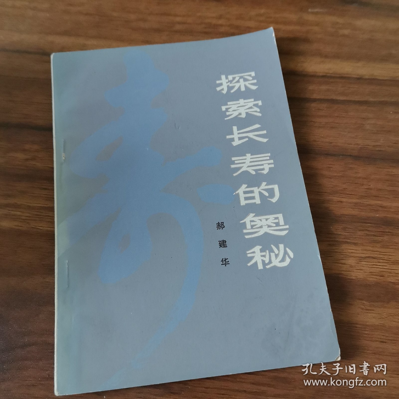 揭秘龟鹤之年的奥秘，探寻长寿的秘密