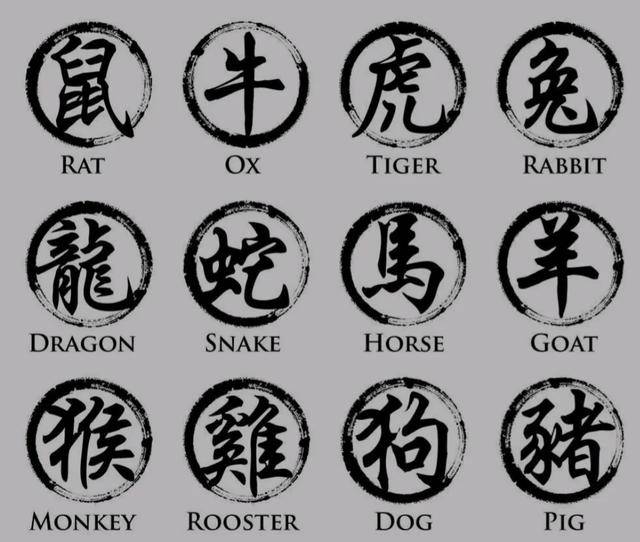 探秘不古不今之谜,揭秘生肖背后的文化寓意 探秘不古不今之谜,揭秘生肖背后的文化寓意