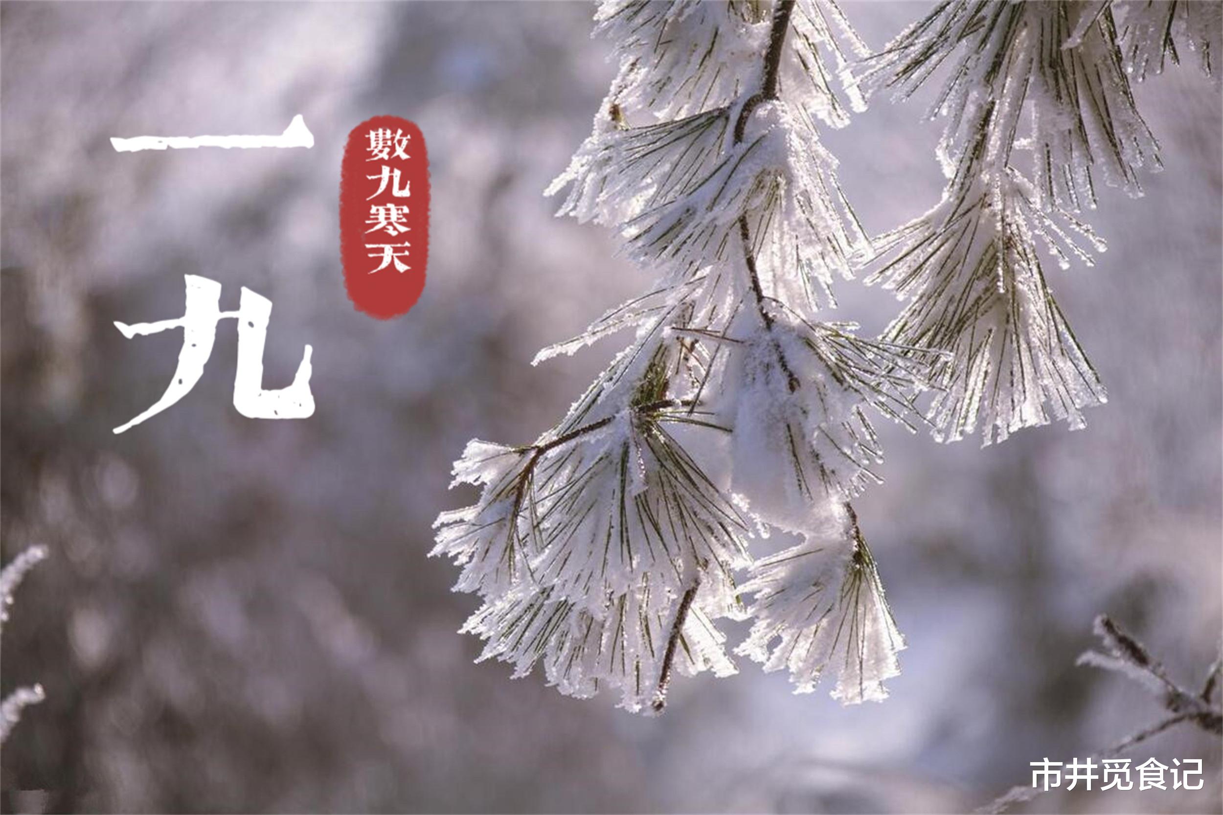 数九寒天是什么生肖、激励解释落实 数九寒天是什么生肖、激励解释落实