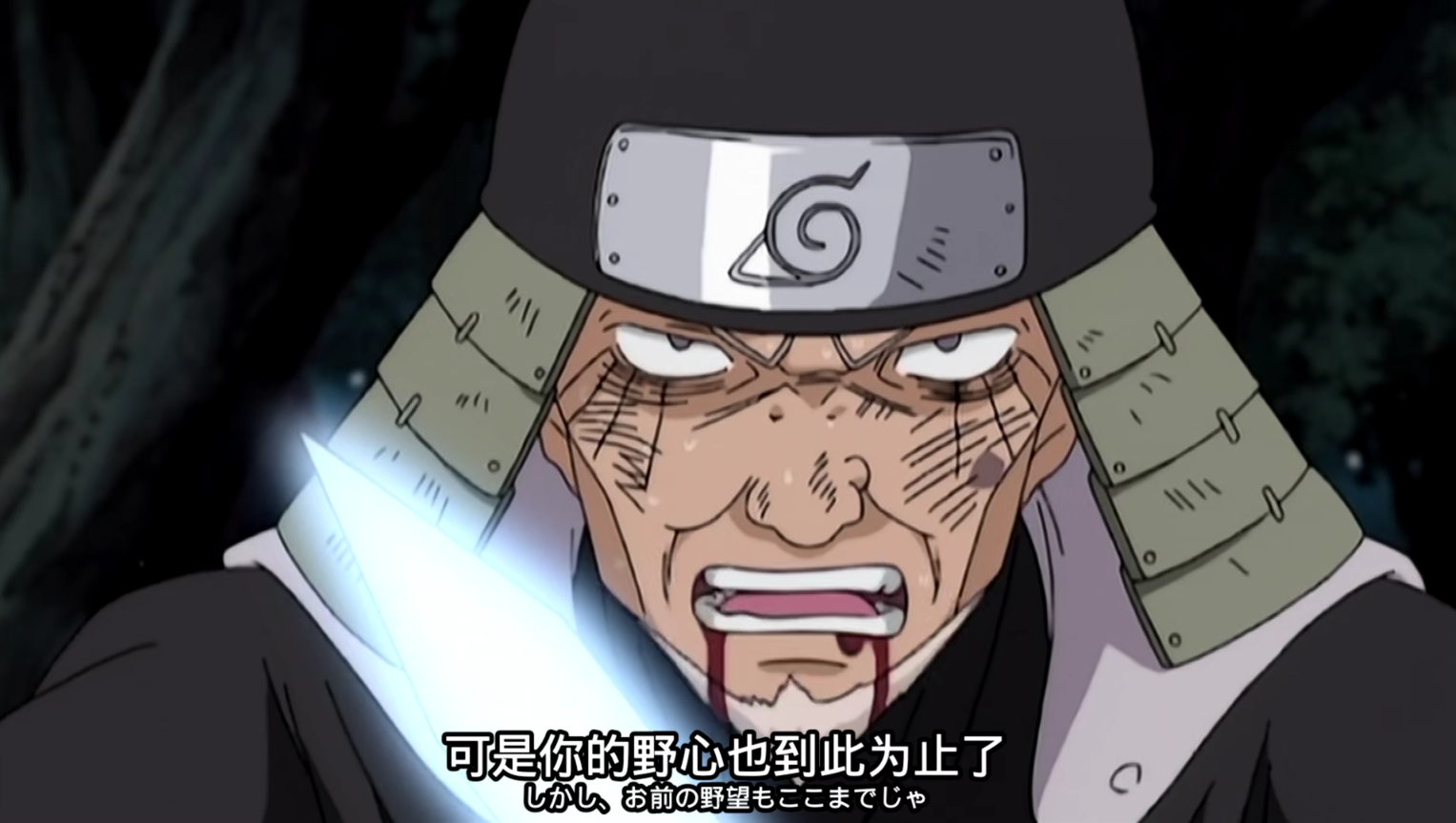 万木叶中苦最多,揭秘生肖之谜