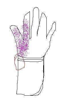 百尺竿头指什么生肖、关注解释落实 百尺竿头指什么生肖、关注解释落实